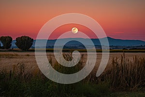 gorgeous sunset, with the harvest moon rising in the background