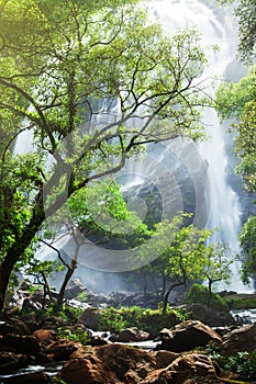 Gorgeous tropical waterfall at sunrise