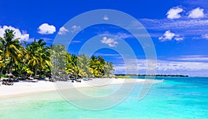 Gorgeous tropical white sandy beach with turquoise sea. Mauritius island
