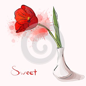 Gorgeous vase with tulip. Cartoon vector card for beautiful invitations