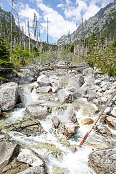 Nádherný vertikálny záber rieky v pohorí Vysoké Tatry na Slovensku za slnečného dňa