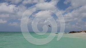 Gorgeous view of beautiful pelican soaring in blue sky over turquoise ocean water. Aruba.