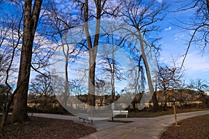 A gorgeous view of the blue sky, clouds and bare winter tree branches at Tanyard Creek Park