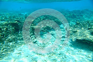 Gorgeous view on coral reefs and white sand under water. Underwater world. Maldives, Indian Ocean,