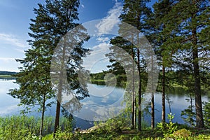 Gorgeous view of forest lake landscape on blue sky and white clouds background. Sweden.