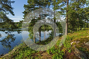 Gorgeous view of forest lake landscape on blue sky and white clouds background. Sweden.