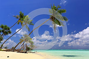 Gorgeous view of Indian Ocean, Maldives. White sand beach, turquoise water, blue sky and white clouds.