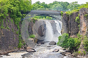 Gorgeous view of lush green trees surrounding a bridge at the Paterson Great Falls National  Park