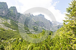 Gorgeous view of lush greenery with tall peaks looming over it under bright lighting in Slovakia