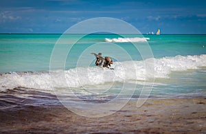 Gorgeous view of the seascape at Varadero beach, Cuba