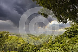 Gorgeous view of thunderstorm grey clouds above green tree tops.