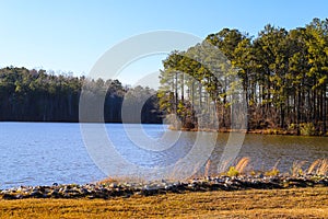 A gorgeous view of the vast blue lake waters and lush green and autumn colored trees over a wooden dock