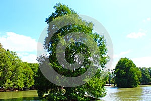 A gorgeous view of the water and the lush green trees on Lake Evans at Fairmount Park