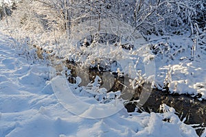 Gorgeous view of winter nature landscape. Stream in winter forest. Beautiful nature landscape. Trees reflection on water.