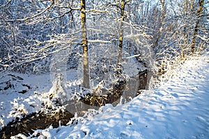 Gorgeous view of winter nature landscape. Stream in winter forest. Beautiful nature landscape. Trees reflection on water.