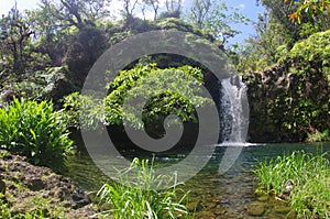 A gorgeous waterfall on the road to Hana