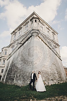 Gorgeous wedding couple posing in sunlight near old castle in beautiful park. Stylish beautiful bride and groom holding hands on