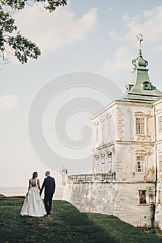 Gorgeous wedding couple walking in sunlight near old castle in beautiful park. Stylish beautiful bride and groom posing on