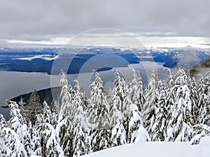 A gorgeous winter landscape on Cypress Mountain overlooking the ocean below