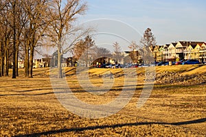 A gorgeous winter landscape in the park with yellow winter grass and bare winter trees with a woman walking, parked cars