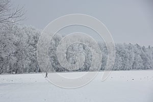 Gorgeous winter landscape with snow and fog, Pardubice, Czech republic