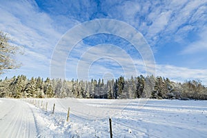 Gorgeous winter nature landscape view. Bend of country road and frosty forest trees.