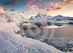 Gorgeous winter sunrise over polar circle. Frozen Boosen fjord on Flakstadoya island photo
