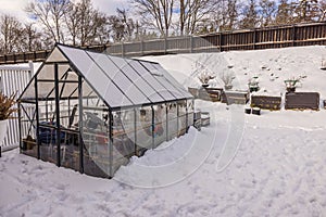 Gorgeous winter view of small garden and greenhouse with collected things for winter. Gardening concept.