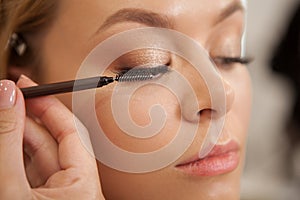 Gorgeous woman getting professional makeup done