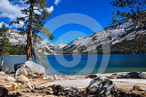 Gorgeous Yosemite National Park, California, USA