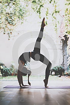 Gorgeous young woman practicing yoga indoor. Beautiful girl practice adkho-mukkha-shvanasana in a training hall.Calmness