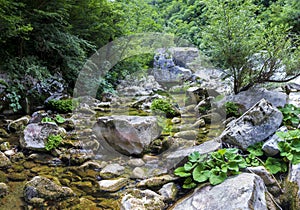 Gorges of calore in cilento photo