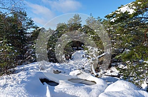 Gorges de Franchard footpath under snow in Fontainebleau forest