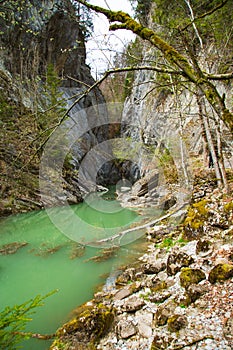 Gorges de la Jogne river canyon in Broc, Switzerland