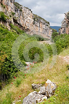 Gorges of Lumbier, Spain