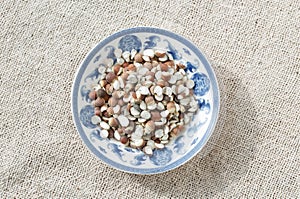 ÃÂ Gorgon euryale seed