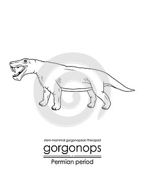Gorgonops