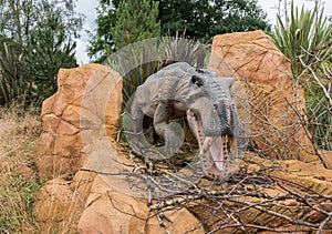 Gorgonopsid Sabre Toothed Dinosaur from the Permian Period