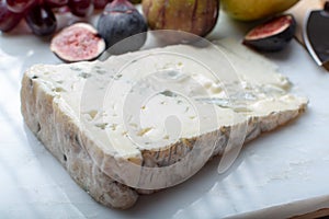 Gorgonzola dolce Italian blue cheese, made from unskimmed cow`s milk in North of Italy photo