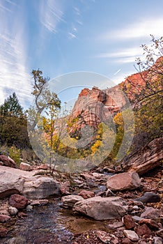 Gorgous landscape of Left Fork Trail to the Subway gorge, Zion NP