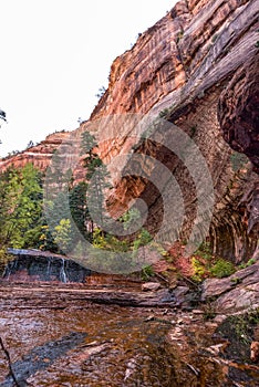 Gorgous landscape of Left Fork Trail to the Subway gorge, Zion NP