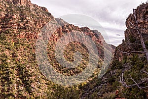 Gorgous landscape of Left Fork Trail to the Subway gorge, Zion NP