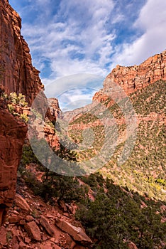 Gorgous landscape of Left Fork Trail to the Subway gorge, Zion NP