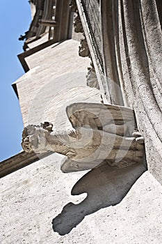 Gorgoyle â€“ gothic detail from the facade of St. Othmar's church in Vienna