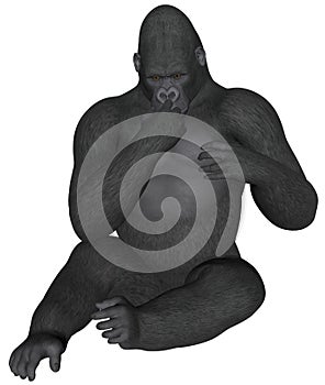 Gorilla