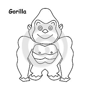 Gorilla line illustration animal vector