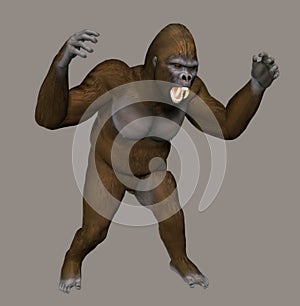 Gorilla