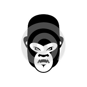 Gorilla angry Emoji. Monkey Evil emotion isolated