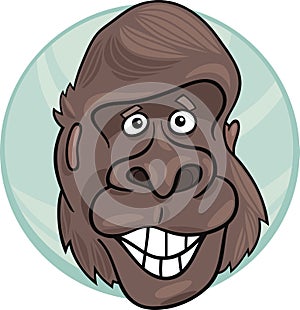 Gorilla ape