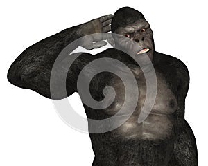 Gorilla Ape Listening Isolated